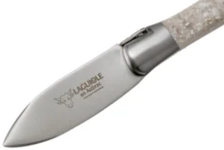 Laguiole En Aubrac Oyster C2I99CQHI Cuchillo Para Ostras, Concha De Ostras -Victorinox Tienda de ventas AUC2I99CQHI 03 laguiole en aubrac scaled