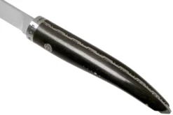 Laguiole En Aubrac Gourmet FGO20EBI Cuchillo De Deshuesar De Madera De ébano 20 Cm -Victorinox Tienda de ventas AUFGO20EBI 05 laguiole en aubrac scaled