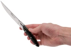 Claude Dozorme Le Thiers Juego De Cuchillos Para Carne 6-unidades, Madera De ébano -Victorinox Tienda de ventas CD5 90 001 70MI 08 claude dozorme cd5 90 001 70mi 08