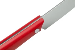 Due Cigni 1896 America 2C1019RSET4, Juego De Cuchillos Para Carne De 4 Piezas, Rojo -Victorinox Tienda de ventas DG2C1019RSET4 05 duecigni scaled