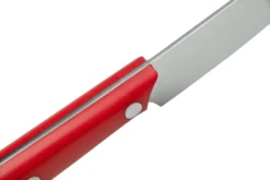 Due Cigni 1896 America 2C1019RSET6, Juego De Cuchillos Para Carne De 6 Piezas, Rojo -Victorinox Tienda de ventas DG2C1019RSET6 06 duecigni scaled
