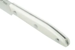 Due Cigni 1896 America 2C1019WSET6, Juego De Cuchillos Para Carne De 6 Piezas, Blanco -Victorinox Tienda de ventas DG2C1019WSET6 05 duecigni scaled