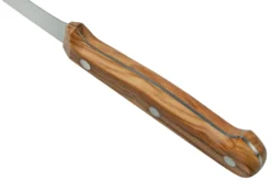 Due Cigni Tuscany 2C765-11OL Cuchillo Para Carne 11 Cm Madera De Olivo -Victorinox Tienda de ventas DG2C765 11OL 04 duecigni scaled