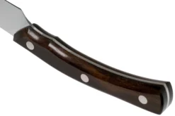 Due Cigni Arne Line Cuchillo Para Carne 11 Cm, Ziricote 9 Due Cigni Arne Line Cuchillo Para Carne 11 Cm, Ziricote -Victorinox Tienda de ventas DG2C900ZW 04 due cigni arne scaled