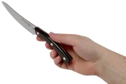 Due Cigni Arne Line Cuchillo Para Carne 11 Cm, Ziricote 11 Due Cigni Arne Line Cuchillo Para Carne 11 Cm, Ziricote -Victorinox Tienda de ventas DG2C900ZW 06 due cigni arne scaled