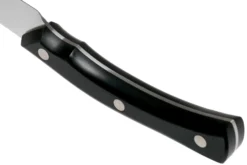 Due Cigni Arne Line Cuchillo Para Pelar 10 Cm, Negro -Victorinox Tienda de ventas DG2C901 04 due cigni arne scaled