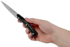 Due Cigni Arne Line Cuchillo Para Pelar 10 Cm, Negro -Victorinox Tienda de ventas DG2C901 06 due cigni arne scaled