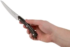 Due Cigni Arne Line Cuchillo Dentado Para Carne 11 Cm, Zircote -Victorinox Tienda de ventas DG2C907ZW 06 due cigni arne scaled