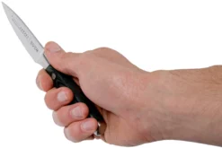 Eden Classic Damast Cuchillo Puntilla 9 Cm -Victorinox Tienda de ventas EQ2030 109 06 eden classic damast v2018 scaled