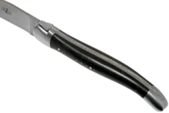 Forge De Laguiole, LAT22MINEB, Juego De Cuchillos Para Carne De 2 Piezas Mate, Madera De ébano 10 Forge De Laguiole, LAT22MINEB, Juego De Cuchillos Para Carne De 2 Piezas Mate, Madera De ébano -Victorinox Tienda de ventas LAT22MINEB 05 forge de laguiole scaled