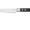 Maserin TEGI 2500-12PN Cuchillo Para Carne Negro, 12 Cm