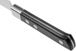 Maserin TEGI 2500-12PN Cuchillo Para Carne Negro, 12 Cm -Victorinox Tienda de ventas ME2500 12PN 04 maserin scaled