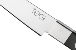 Maserin TEGI 2500-12PN Cuchillo Para Carne Negro, 12 Cm -Victorinox Tienda de ventas ME2500 12PN 05 maserin scaled