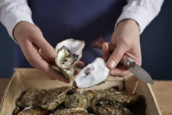 Opinel Cuchillo De Ostras N°09 -Victorinox Tienda de ventas OP001616 07 opinel oestermes op001616 08