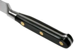 Lion Sabatier Idéal Cuchillo Puntilla 10 Cm, 711080 -Victorinox Tienda de ventas SA1372 04 04 lion sabatier v202006 scaled