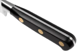 Lion Sabatier Idéal Cuchillo Para Trinchar 25 Cm, 712680 11 Lion Sabatier Idéal Cuchillo Para Trinchar 25 Cm, 712680 -Victorinox Tienda de ventas SA1386 10 05 lion sabatier ideal sa1386 10 05