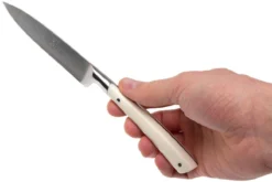 Lion Sabatier Edonist Perle Cuchillo Puntilla 10 Cm, Blanco, 806381 -Victorinox Tienda de ventas SA806381 07 lion sabatier edonist perie sa806381 07