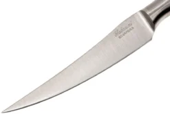 Saladini 6-delige Juego De Cuchillos Para Carne 23 Cm, Cuerno De Búfalo -Victorinox Tienda de ventas SL4001PB6 04 saladini sl4001pb6 04