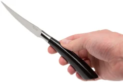 Saladini 6-delige Juego De Cuchillos Para Carne 23 Cm, Cuerno De Búfalo -Victorinox Tienda de ventas SL4001PB6 07 saladini sl4001pb6 07