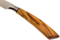 Saladini 6-delige Juego De Cuchillos Para Carne 23 Cm, Set Regalo -Victorinox Tienda de ventas SL4001VL6 06 saladini sl4001vl6 06