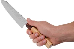 Sakai Takayuki Santoku 33-CapasDamascus Hammered WA 17 Cm -Victorinox Tienda de ventas TA07472 06 sakai takayuki scaled