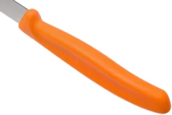Victorinox SwissClassic Dentado/liso Cuchillo De Verduras Naranja 10 Cm, Set De 2 VT6-7796-L9B -Victorinox Tienda de ventas VT6 7796 L9B 03 victorinox swissclassic scaled