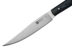 Zwilling Steak 39162, Juego De 4 Cuchillos Para Carne, Micarta Azul -Victorinox Tienda de ventas ZW1003041 03 zwilling scaled