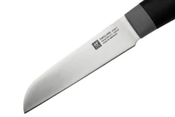 Zwilling Now S 1009646 Cuchillo Para Verduras, 9 Cm -Victorinox Tienda de ventas ZW1009646 03 zwilling scaled