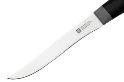 Zwilling Now S 1009656 Cuchillo Deshuesador, 12 Cm -Victorinox Tienda de ventas ZW1009656 03 zwilling scaled