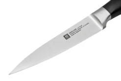 Zwilling All Star 1022778, Juego De 2 Cuchillos, Cuchillo De Chef Y Cuchillo Puntilla, Plata -Victorinox Tienda de ventas ZW1022778 03 zwilling scaled