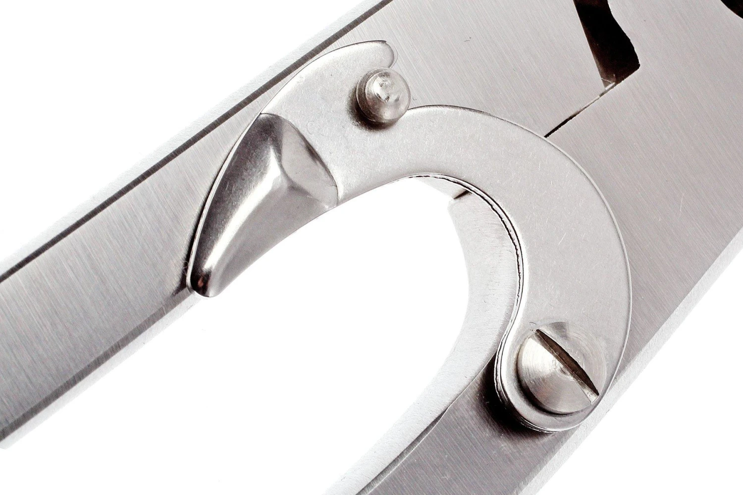 Zwilling Tijeras Para Aves 24 Cm, 42903-000 6 Zwilling Tijeras Para Aves 24 Cm, 42903-000 - Imagen 6